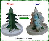 MagicChristmasTree.jpg image by MagicChristmasTree
